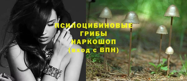 ГАЛЛЮЦИНОГЕННЫЕ ГРИБЫ Пересвет