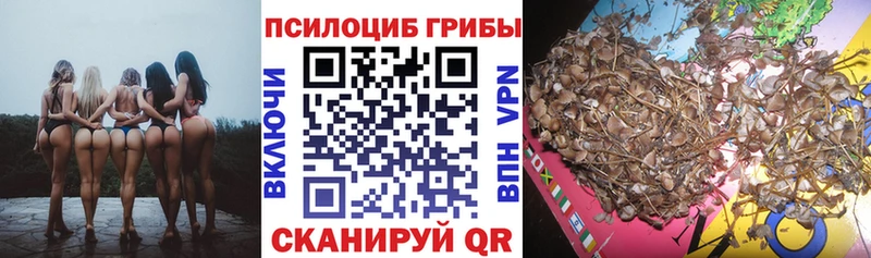 Галлюциногенные грибы Psilocybe  Купить закладки  Балашиха 