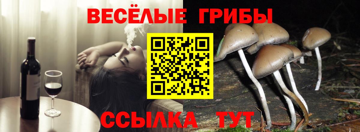 Псилоцибиновые грибы мухоморы  Галлюциногенные грибы мицелий  Балашиха 