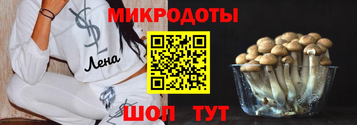 Псилоцибиновые грибы GOLDEN TEACHER Балашиха