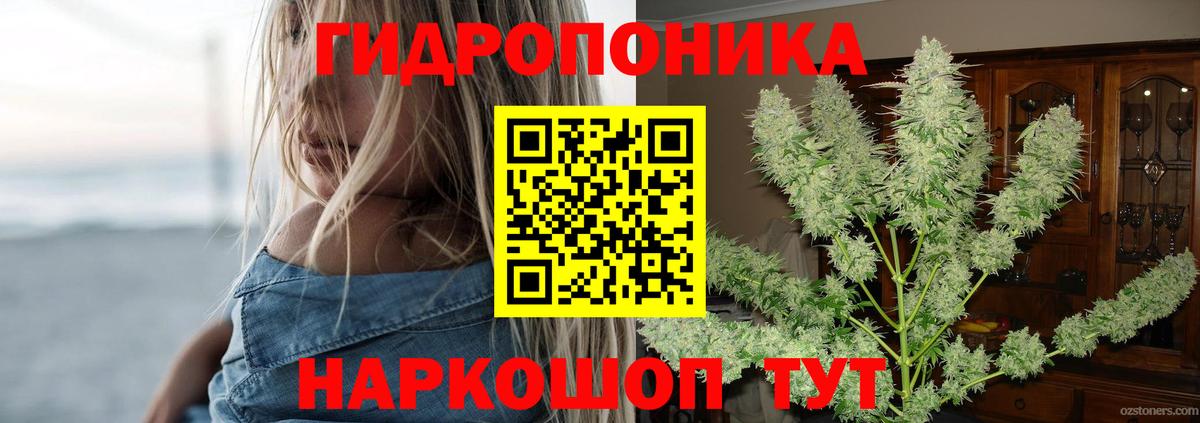 Каннабис MAZAR  Бошки Шишки сатива  МАРИХУАНА SATIVA & INDICA  Балашиха  Вход с VPN 