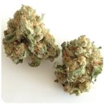 Шишки "White Widow"  (Белая вдова)  Гидропоника -  Бошка VHQ в Балашихе